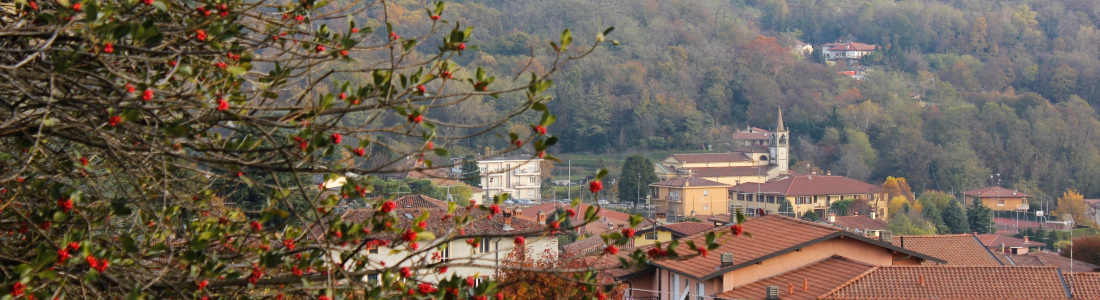 Viganò - Viganò - Licenza sconosciuta